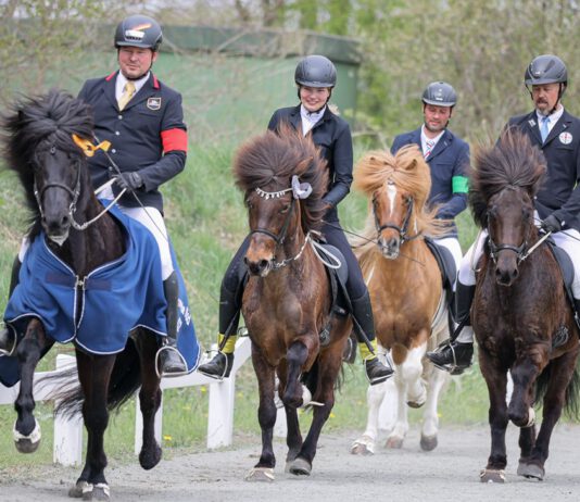 Das war Hengste Nord 2022