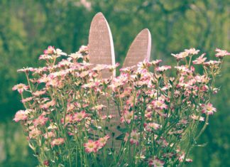 Geschäftsstelle geht in die Osterferien