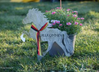 DJIM 2022 – wir wünschen euch viel Erfolg!