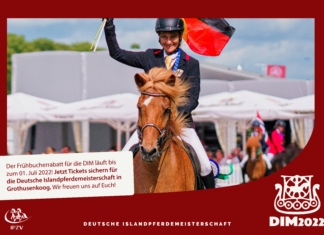 DIM Ticketvorverkauf gestartet – 20% Frühbucherrabatt
