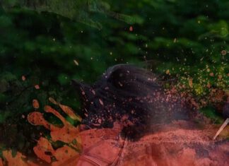 Wir freuen uns auf die DIM 2022