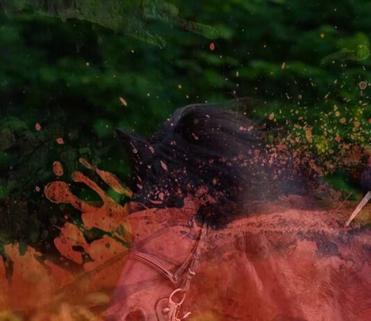 Wir freuen uns auf die DIM 2022