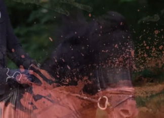 Daily DIM – Finaltag