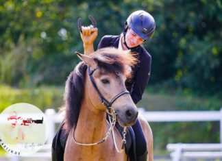 Sportmeisterschaft unseres Vereins und Norddeutsche Meisterschaft