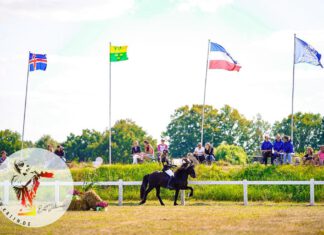 Viele neue Vereinsmeister – tolle Ehrenpreise