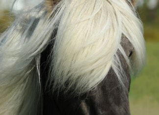 Achtung: Urlaub in der Geschäftsstelle