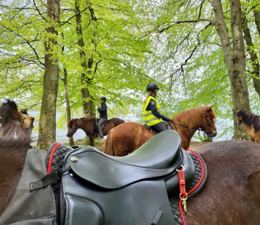 Nord reitet aus – 24. September – Tour durch den Sieversdorfer Forst – Barghof/Görnitz