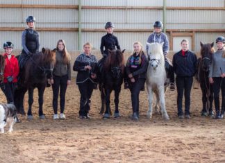 Biomechanisch korrekt reiten mit Kerstin Baden – Bericht