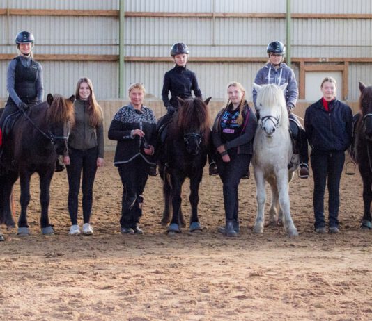 Biomechanisch korrekt reiten mit Kerstin Baden – Bericht
