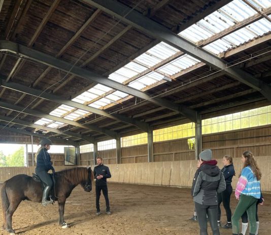 IPZV Nord Jugendkader B – Wintertraining – Bericht