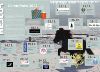 HESTUR Weihnachts – Neujahrs Countdown – tolle Gewinne bis zum Jahresende!