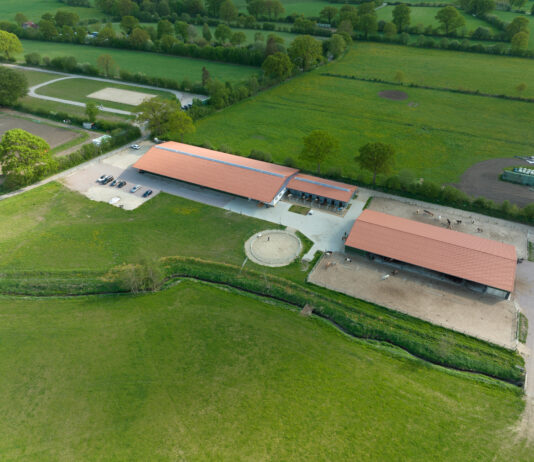 IPZV Nord Frühlings OPEN als Weltranglistenturnier mit Jungpferdematerialprüfung in Tremsbüttel