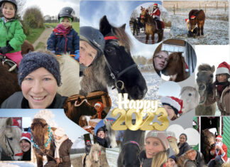 Vielen Dank für eure Teilnahme!