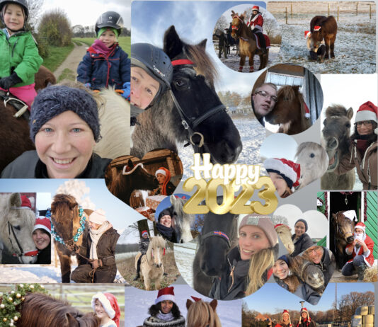 Vielen Dank für eure Teilnahme!