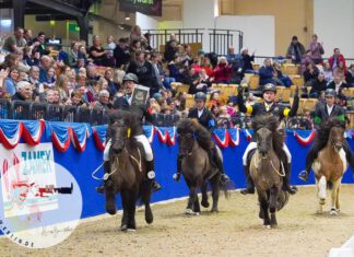 IPZV Nord INDOORS – Mega Stimmung vor ausverkaufter Holstenhalle Neumünster
