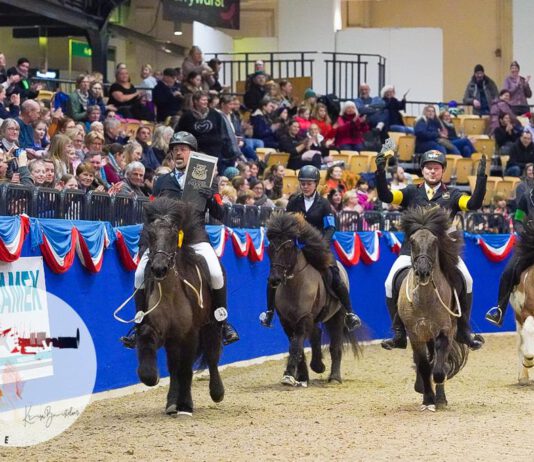 IPZV Nord INDOORS – Mega Stimmung vor ausverkaufter Holstenhalle Neumünster