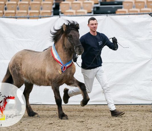 Züchtertreffen 03.02. in den Holstenhallen