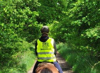 NORD reitet aus: Osterritt