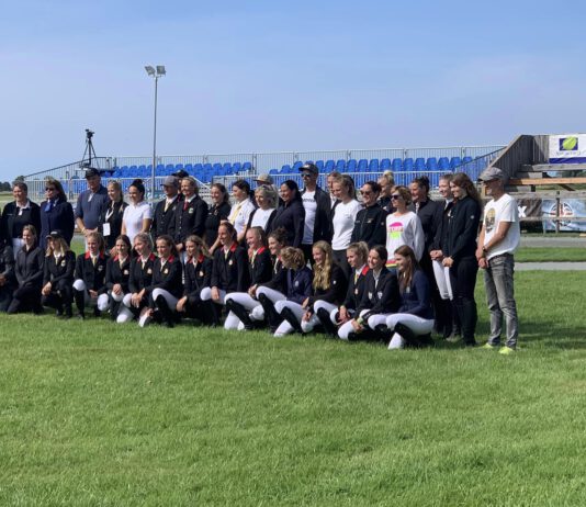 Sleipnir-Preise: Eure Stimme zählt!