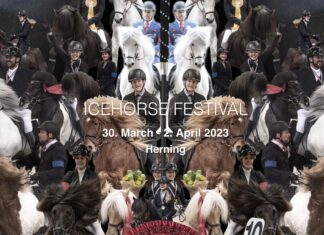 Viel Erfolg auf dem ICEHORSE FESTIVAL!