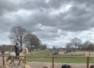 Stürmisch-starker Auftakt in Tremsbüttel