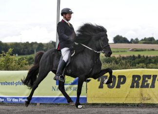 Sleipnir-Preise wurden verliehen