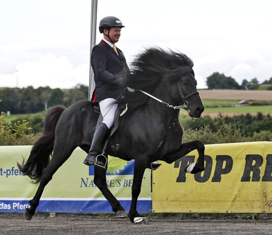 Sleipnir-Preise wurden verliehen