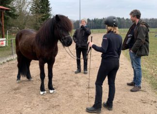Öffentliches Zukunft Zucht-Training auf Godemoor
