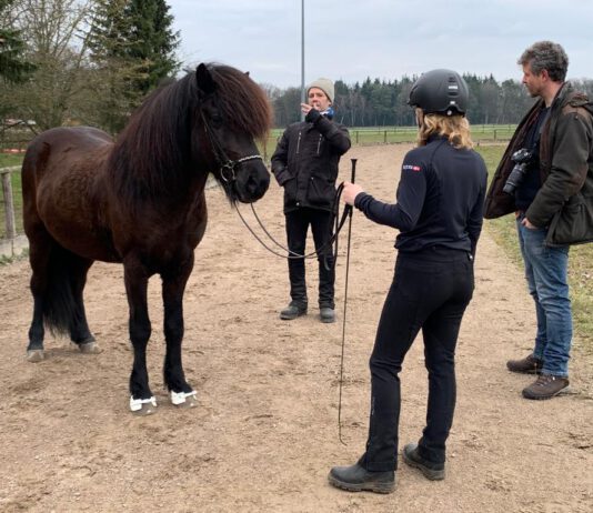 Öffentliches Zukunft Zucht-Training auf Godemoor