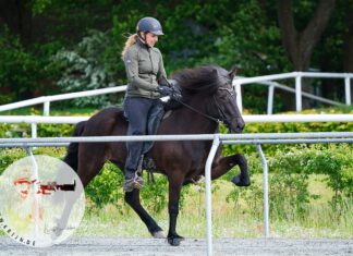 FIZO Verden endet auf hohem Niveau