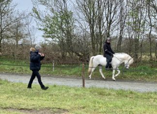 Zukunft Zucht: Training auf Heesberg