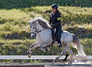 Fünfgang, Viergang und Pass: Der erste Turniertag der DJIM