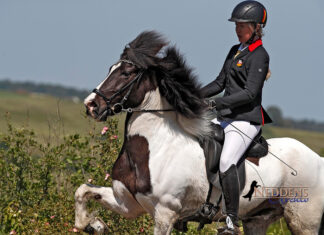 DJIM Samstag: Viergang, T2 und Passprüfung