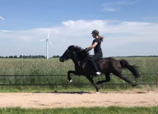 Nord startet durch in Lingen!