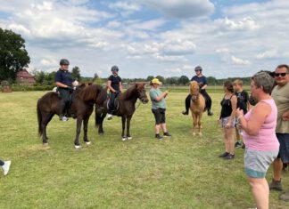 Jugend- und Breitensportfestival am 29./30.7.- Besucher willkommen!