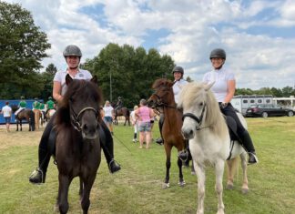Early Bird! Jugend- und Breitensportfestival IPZV Nord 2023 auf dem Bockholts-Hoff