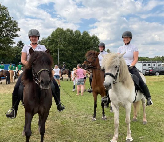 Early Bird! Jugend- und Breitensportfestival IPZV Nord 2023 auf dem Bockholts-Hoff