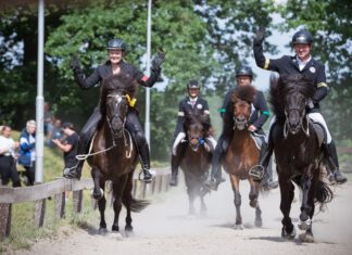 Mittsommer auf Godemoor