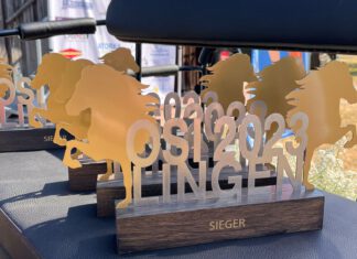 Worldranking Lingen: Wir gratulieren!