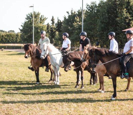 Freundschaftsturnier der Islandpferdefreunde im besten Alter