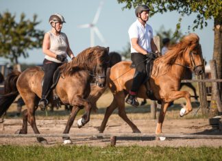 Seniorenturnier für alle, die Lust haben: Nennungsschluss 14.7.