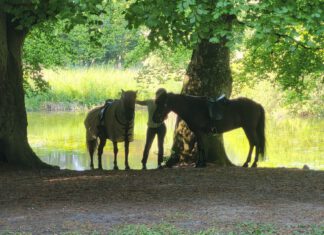 NORD reitet aus am 30.07.