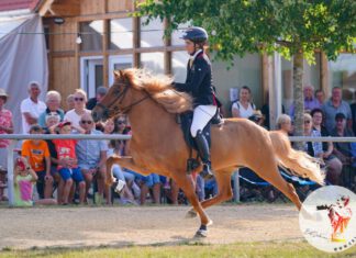 DIM´23 Tag 3: Fünfgangpreis, Passrennen und Dressur