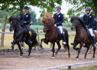 Schöner Islandpferdesport auf Norderheide