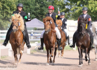 Jugend- und Breitensportfestival auf dem Bockholts-Hoff