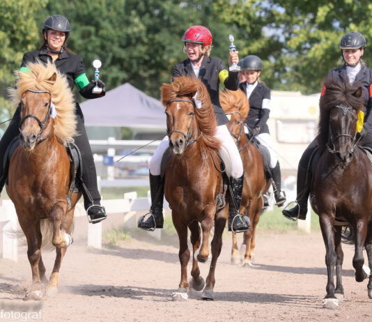 Jugend- und Breitensportfestival auf dem Bockholts-Hoff