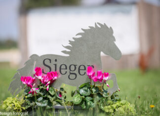 Vielen Dank für die Unterstützung / Gesamtliste der Vereinsmeister