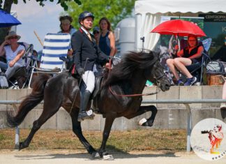 Heisser Samstag: NORD-Erfolge in T2 und Passrennen