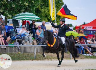 Interview mit Daniel C. Schulz zur WM
