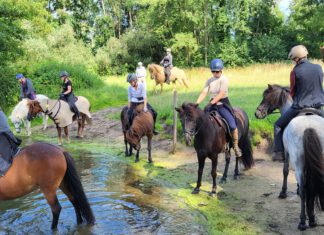 NORD reitet aus in der Schusteracht
